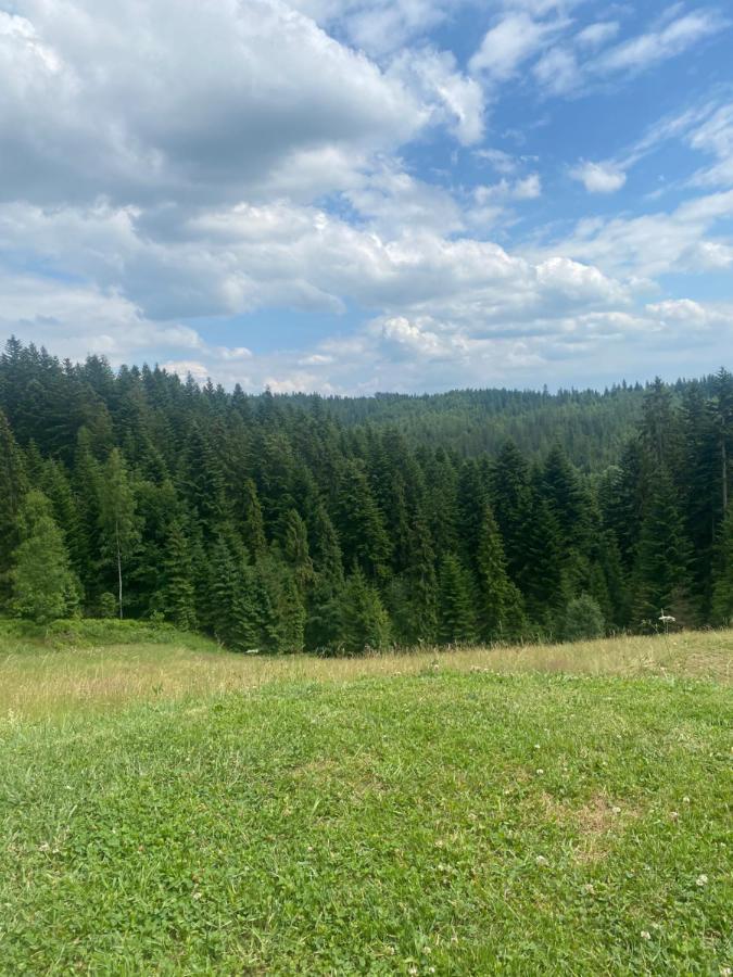 Apartament W Gorach Gorce Nowy Targ Dış mekan fotoğraf